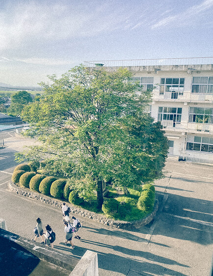 前庭の写真です。